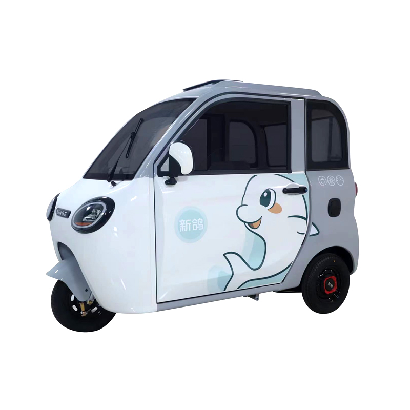 EV-K1 Electric Vehicle