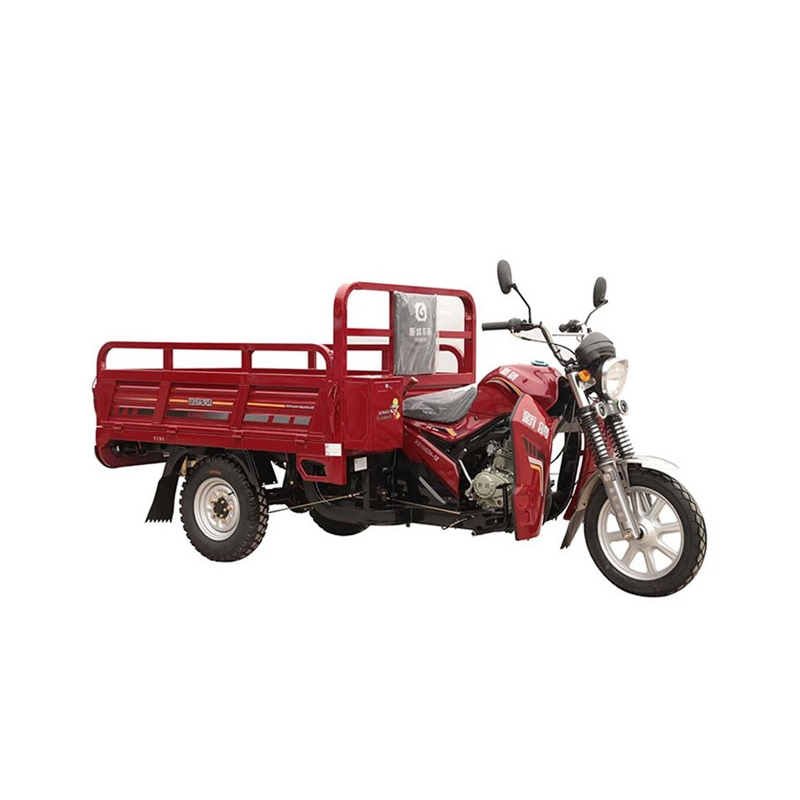 150cc Adults Powered Passenger 3 Wheeler Cargo Tricycle