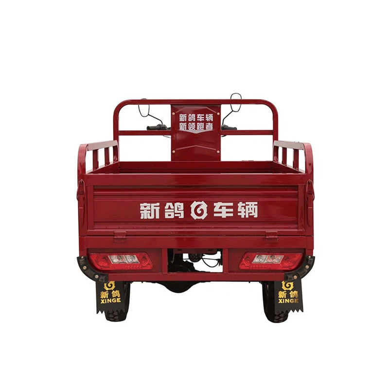 150cc Adults Powered Passenger 3 Wheeler Cargo Tricycle