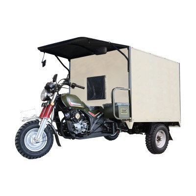 A2-1 Gasoline Express Tricycle 500kgs