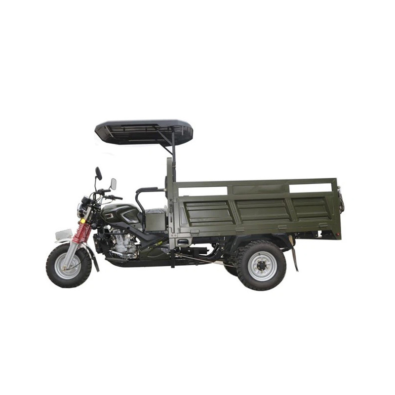 Gasoline Tricycle With Roof