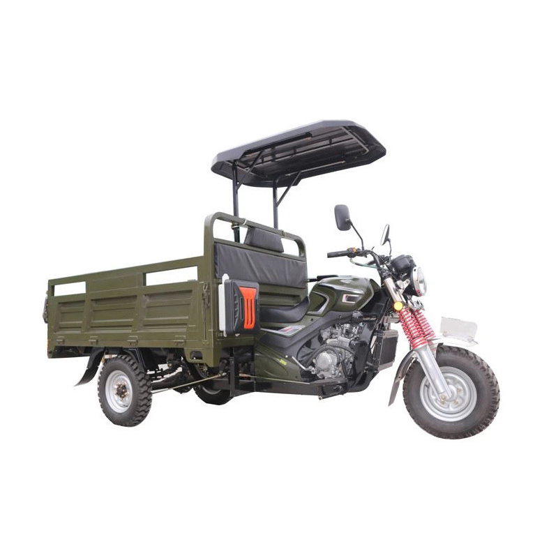 Gasoline Tricycle With Roof