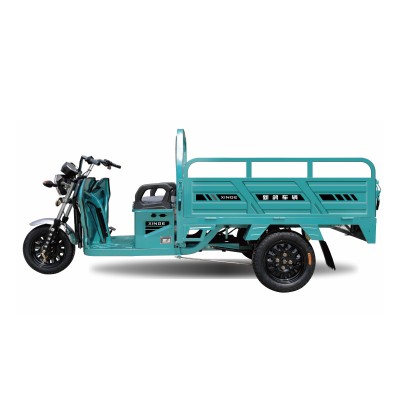 TL150GT Electric Cargo Tricycle