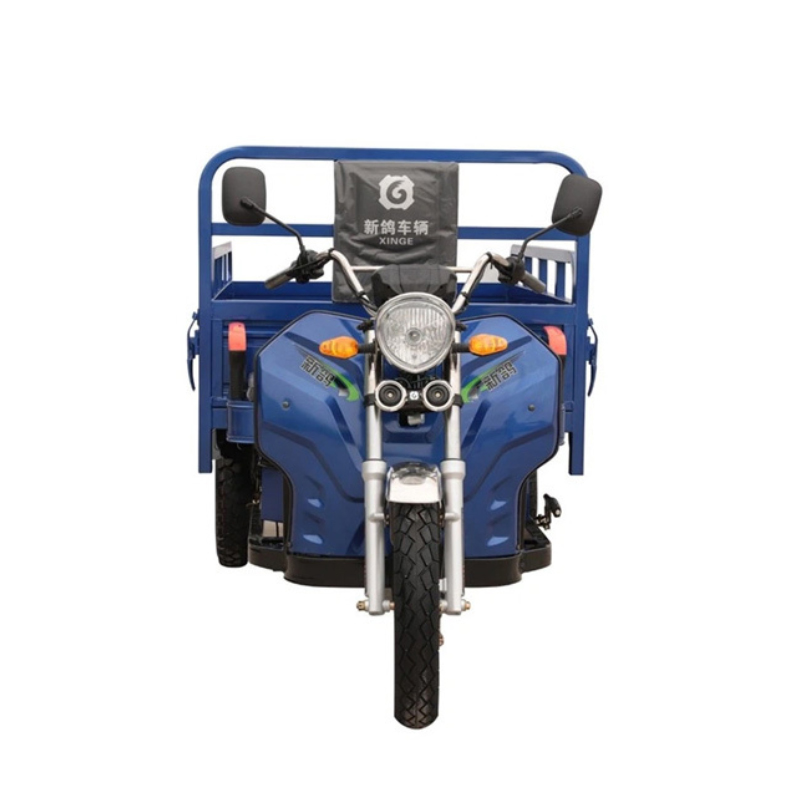 1500W Motor Electric Truck Cargo Tricycle