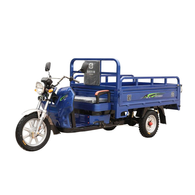 1500W Motor Electric Truck Cargo Tricycle