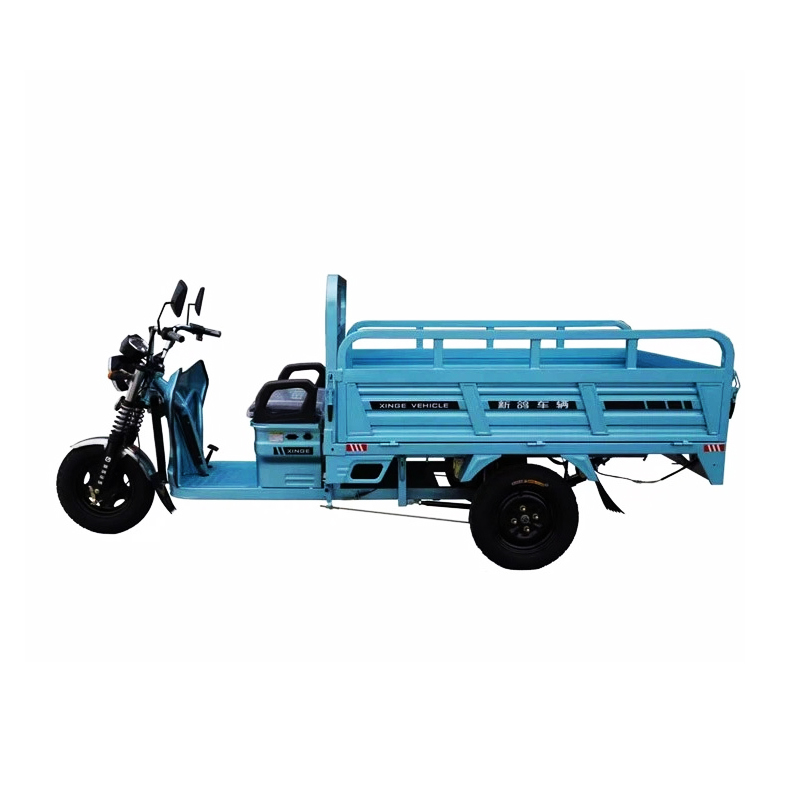 1200W Electric Cargo 3 Wheel Mini Truck