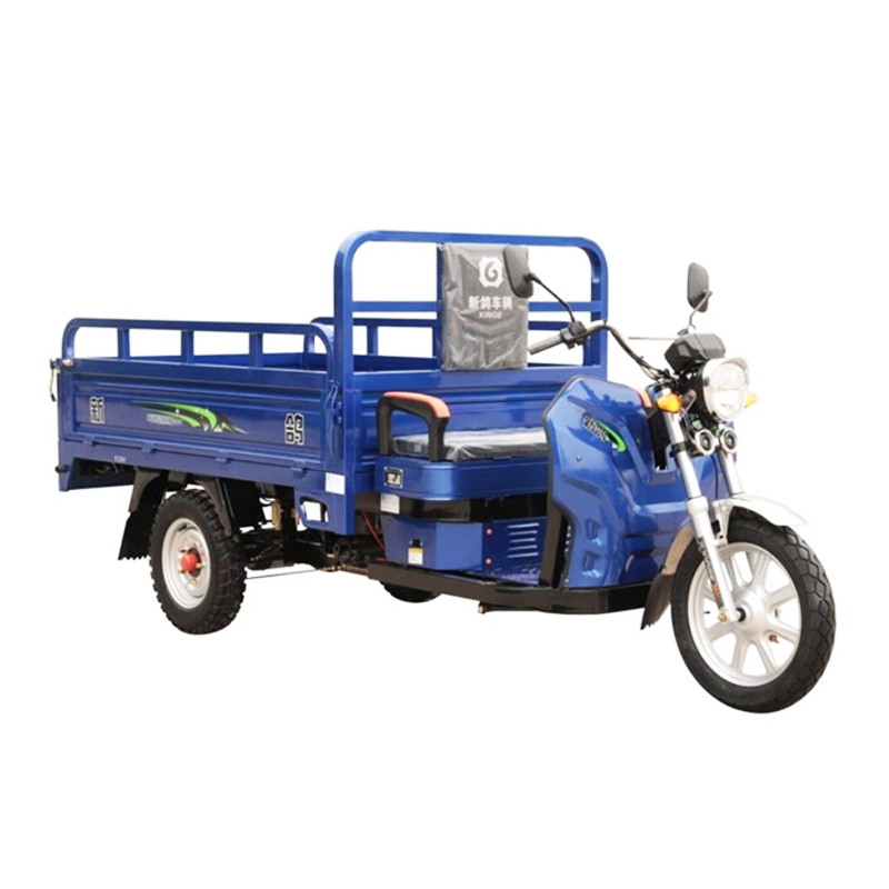 1500W Motor Electric Truck Cargo Tricycle