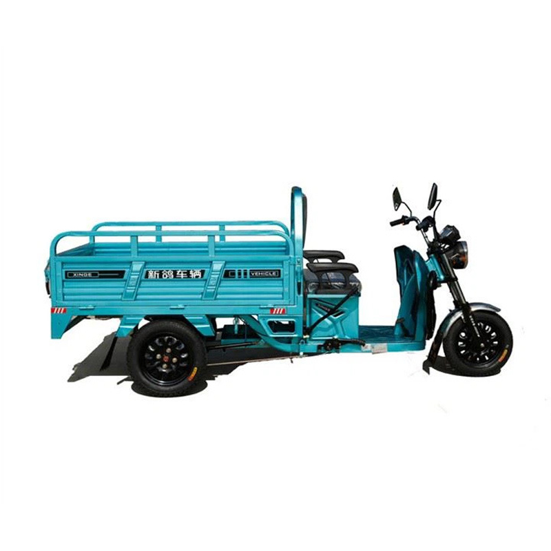 800W Economical Electric Tricycle