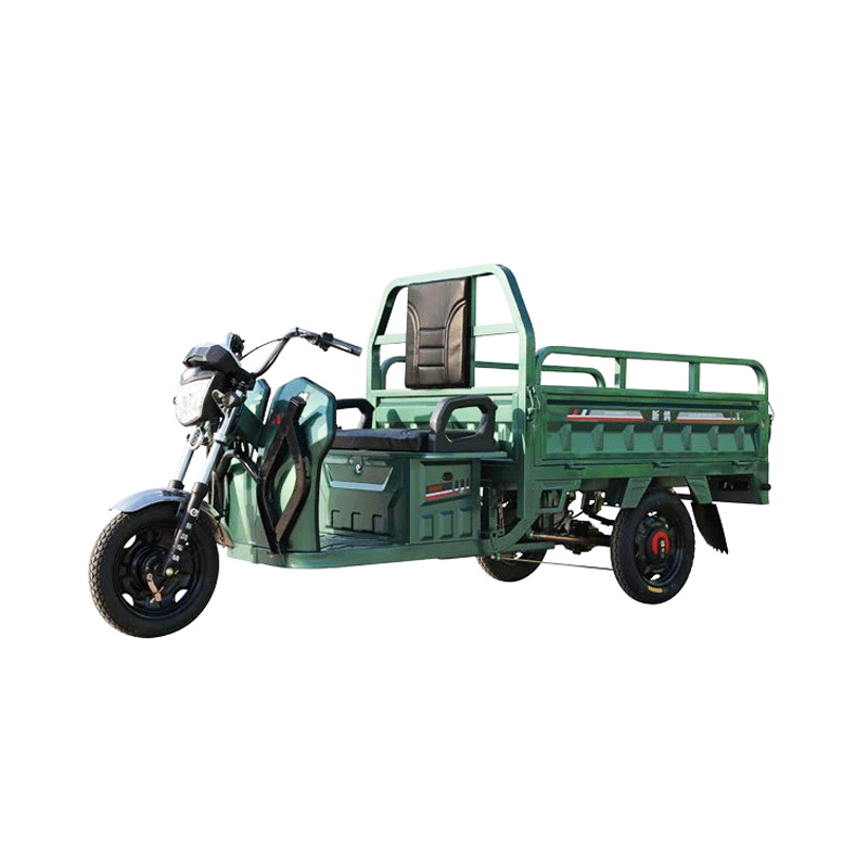 Cargo Electric Tricycle