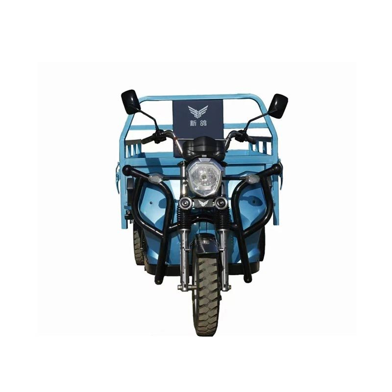High Quality Cargo Saving Energy Load Electric Tricycle