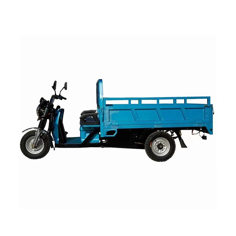 High Quality Cargo Saving Energy Load Electric Tricycle
