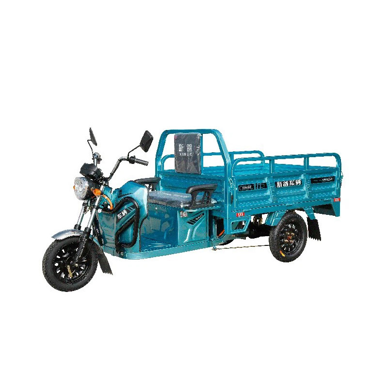 800W Economical Electric Tricycle