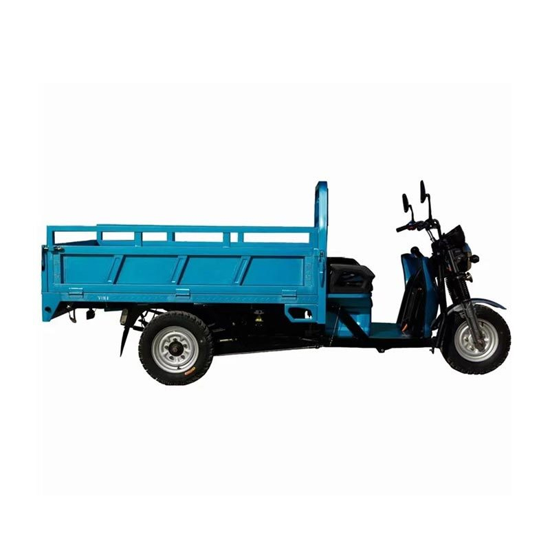 High Quality Cargo Saving Energy Load Electric Tricycle