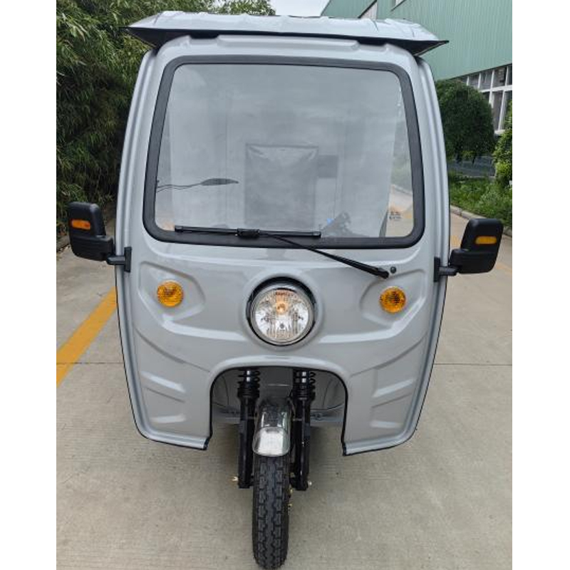 SF11 Express Vehicle Electric With Solar PV panel