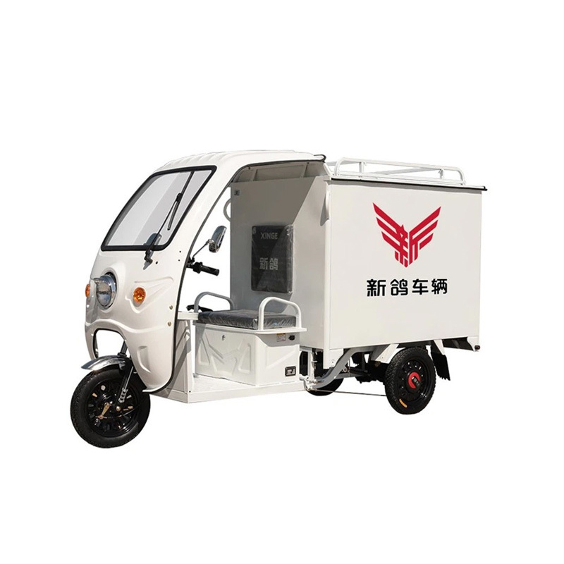 3 Wheel 800W Electric Express