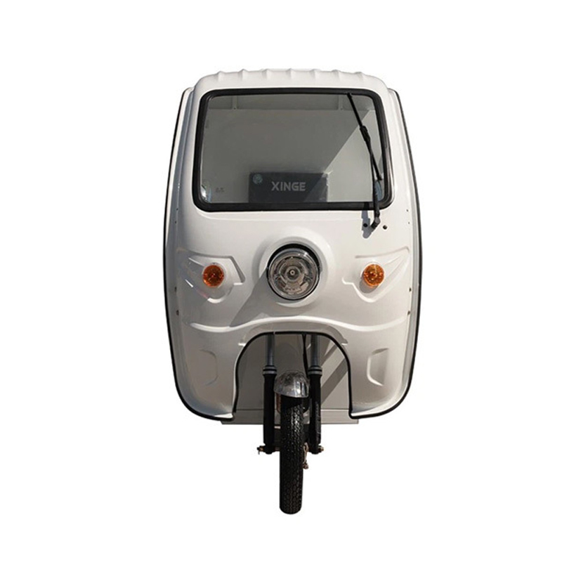 3 Wheel 800W Electric Express