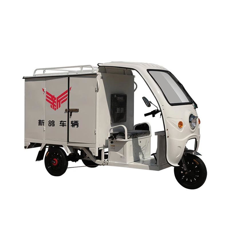 Delivery Motor Tricycle