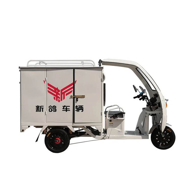 3 Wheel 800W Electric Express