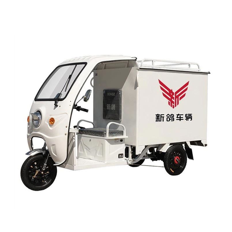 Delivery Motor Tricycle