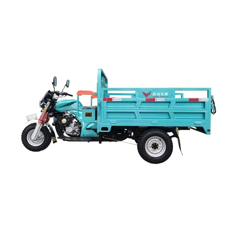 175CC Adult Load 3 Wheel Gasoline Cargo Tricycle