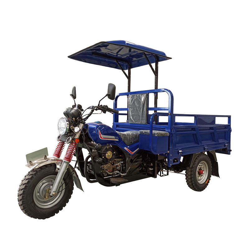 A2 Gasoline Cargo Tricycle 800kgs