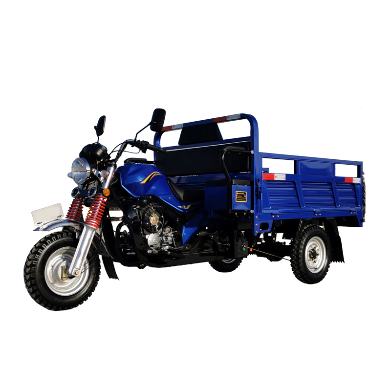 A0 Gasoline Cargo Tricycle 500kgs