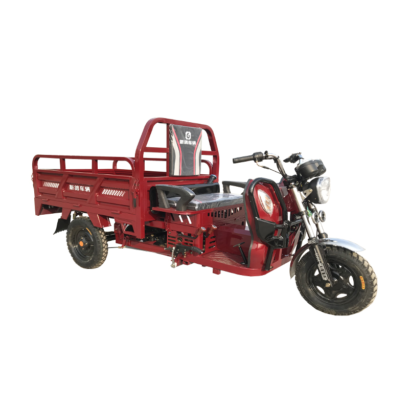 X3 Gasoline Cargo Tricycle 300kgs