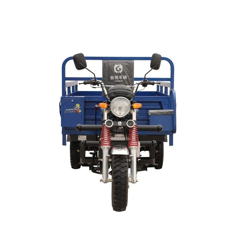 200CC Powerful Fuel Cargo 3 Wheel