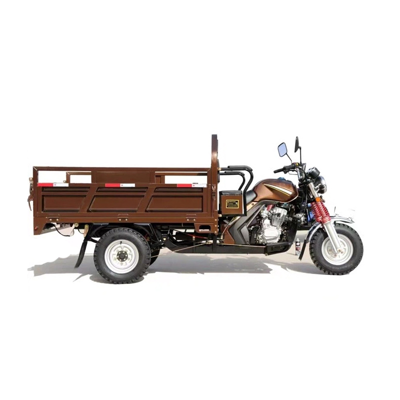 150CC Gasoline 3 Wheel Cargo Motorcycle Tricycle