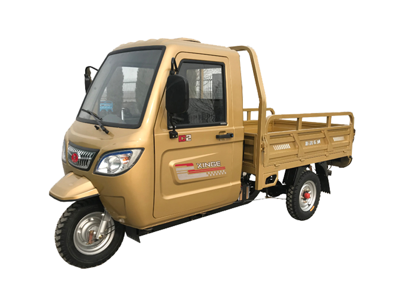Three Wheel Electric Mini Pickup Truck