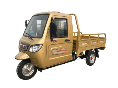 Three Wheel Electric Mini Pickup Truck