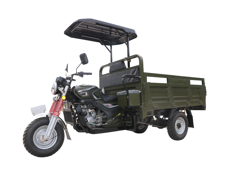 Tricycle for Cargo with Roof