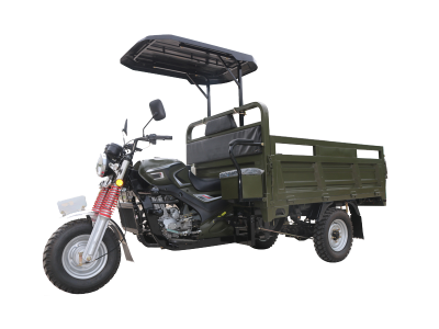 Tricycle for Cargo with Roof
